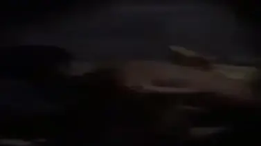 Sejoli Bersetubuh Subuh Suara Plok Plok Kasur